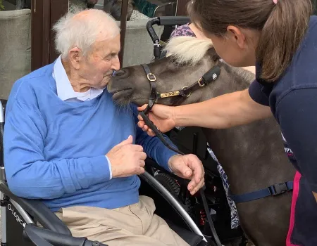 A special visit from Vino the Therapy Pony