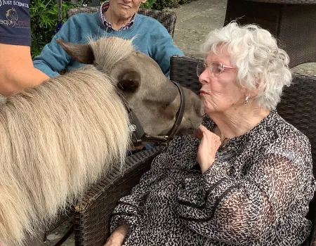A special visit from Vino the Therapy Pony