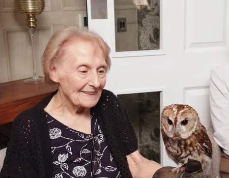 International Owl Awareness Day