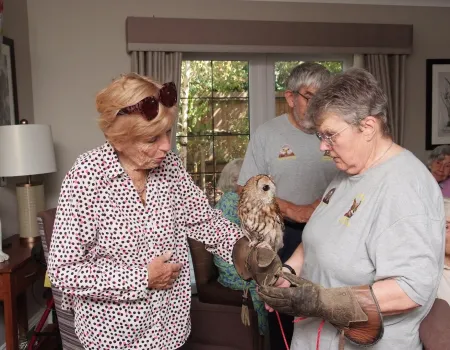 International Owl Awareness Day