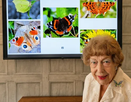 Discovering the Magic of Butterflies