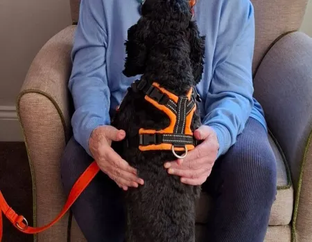 Pet Therapy
