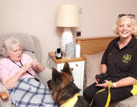 Therapy dogs
