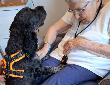 Pet Therapy