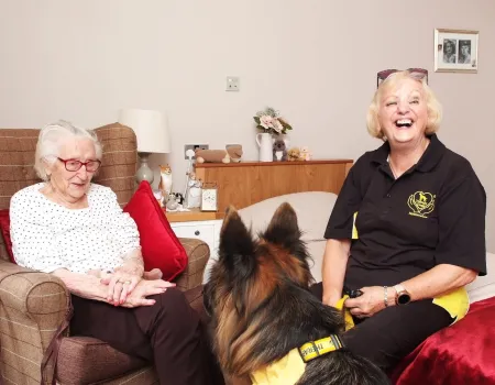 Therapy dogs