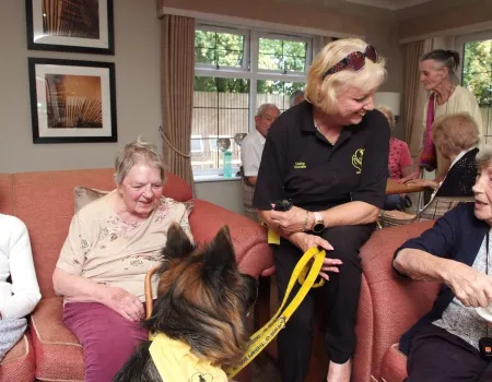 Therapy dogs