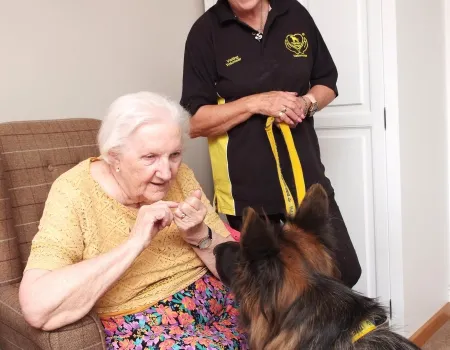 Therapy dogs