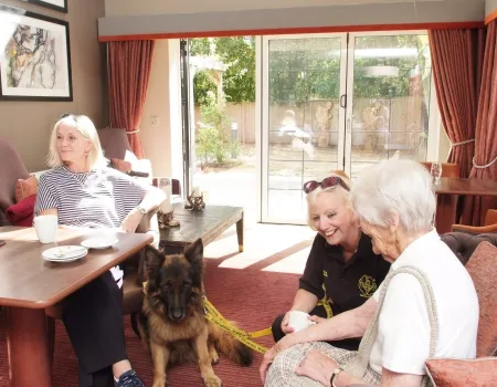 Therapy dogs