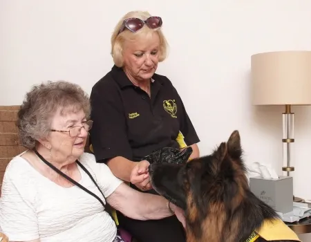 Therapy dogs