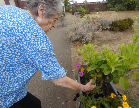 Gardening Club