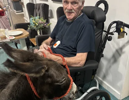 Donkey visit