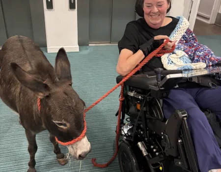Donkey visit