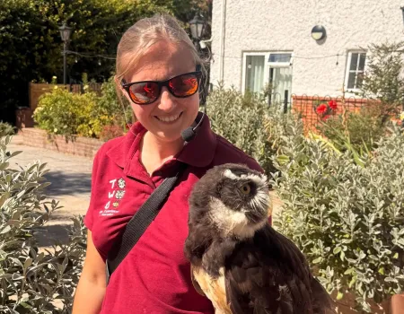Owl Awareness Day