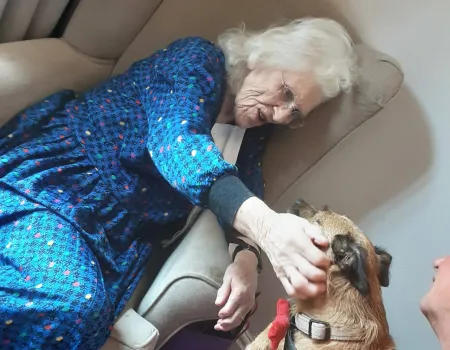 Furry Friends at Mount House 