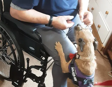 Furry Friends at Mount House 