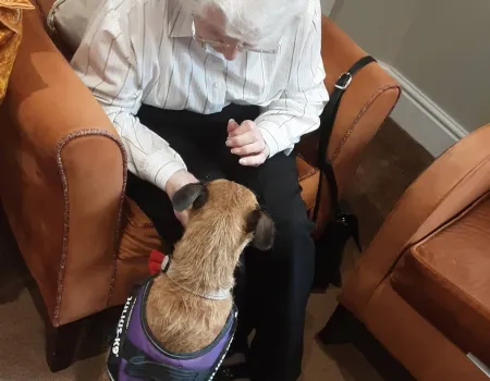 Furry Friends at Mount House 