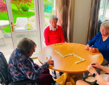 Dominoes club with a garden view 