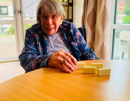 Dominoes club with a garden view 