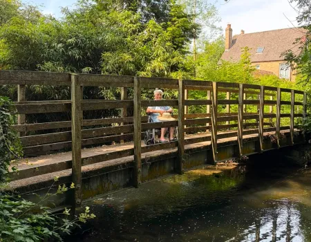 A Peaceful Walk Around Warminster: Enjoying Nature on Our Doorstep