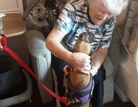 Furry Friends at Mount House 
