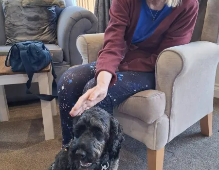 Pet Therapy