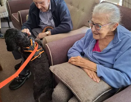 Pet Therapy