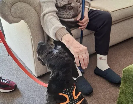 Pet Therapy