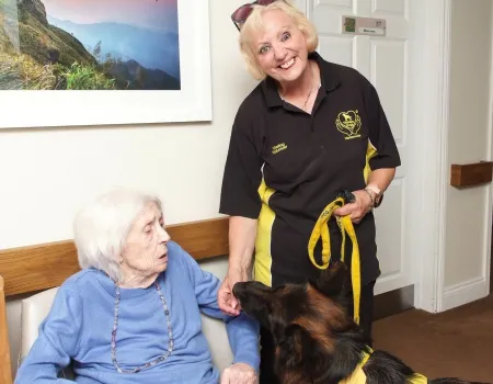 Therapy dogs
