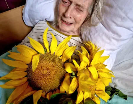 Sunflower Day 