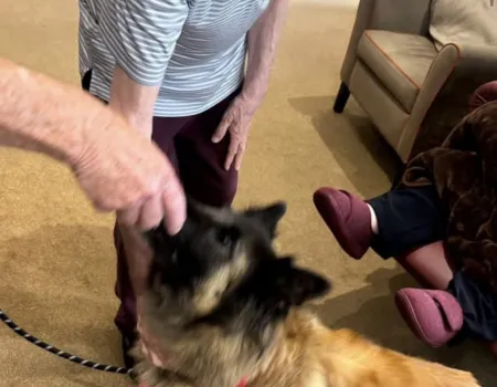 A Paws-itively Wonderful Afternoon