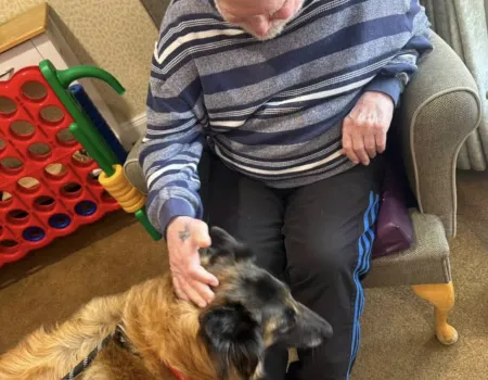 A Paws-itively Wonderful Afternoon