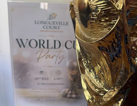World cup final celebrations 