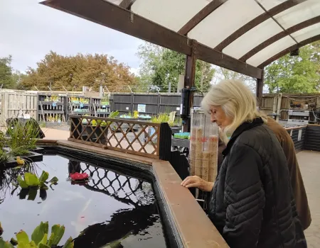 A Lovely Trip to the Garden Centre