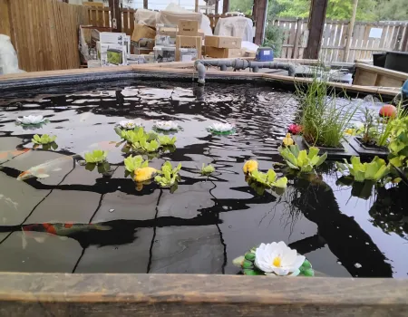 A Lovely Trip to the Garden Centre