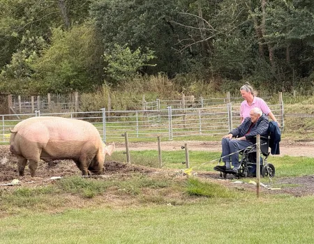 Aldenham Country Park & Farm
