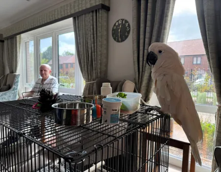 Nigel and Rebecca are reunited!