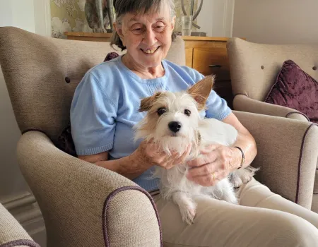 A Little Bit of Jack Russell Magic!