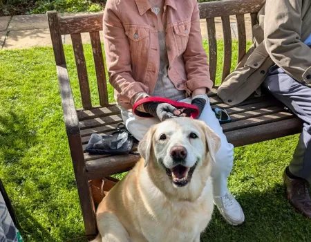 Dog Show