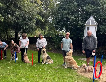 A Pawsome Dog Show