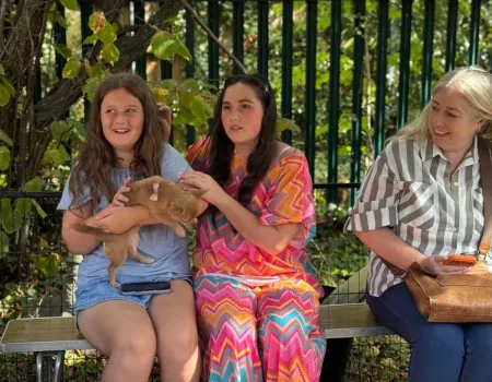 Farm fun day at Park View 
