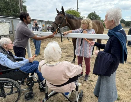 A Catch-Up with Retired Racehorses