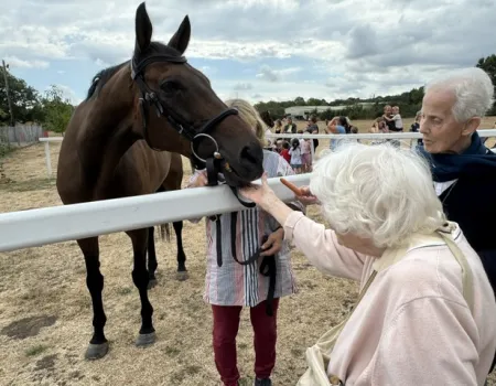A Catch-Up with Retired Racehorses