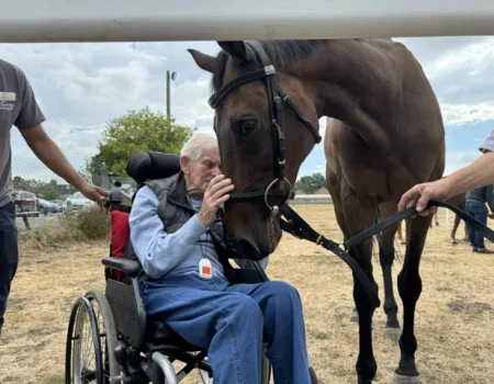 A Catch-Up with Retired Racehorses