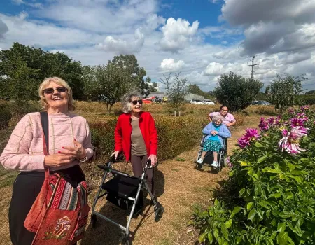  Out in the Sunshine – Mini bus trips