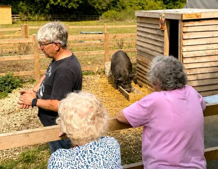 Pen Y Bryn Animal Sanctuary 