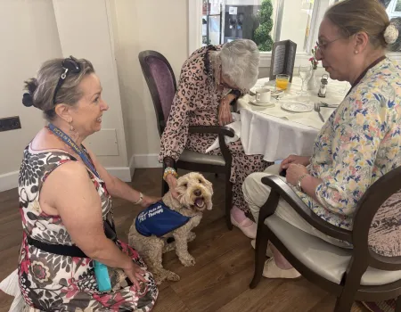 Atfield House, visit by the Therapy Dog Mopsa
