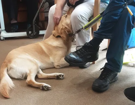A Special Visit from Eric the Guide Dog!