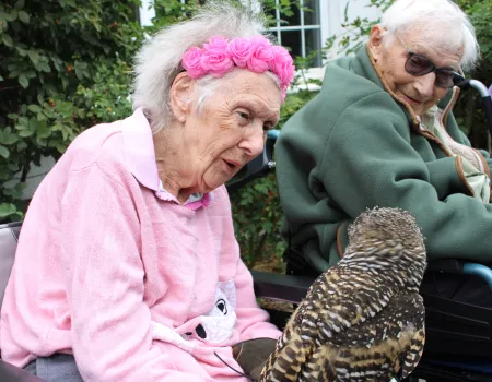 Owl Awareness Day 