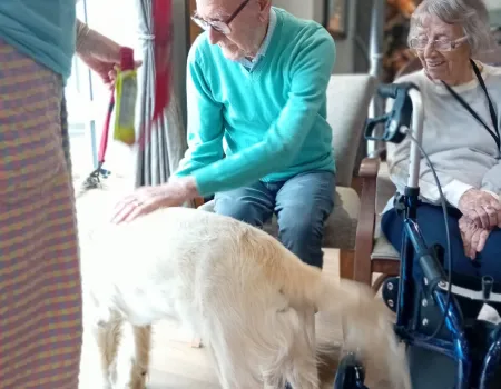 A Very Special Visit From Guide Dogs!