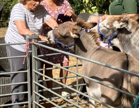What a Fantastic Farm experience.